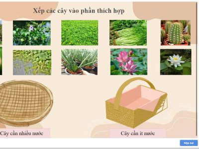 Thiết bị dạy học số-Sách lật Ebook-Nhu cầu sống của cây trồng