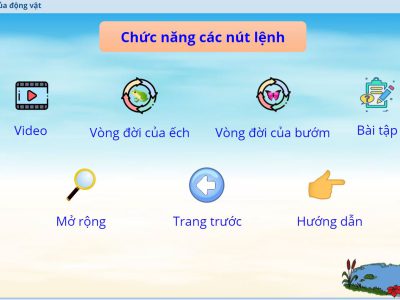 Thiết bị dạy học số – Sự sinh sản của động vật