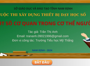 Một số cơ quan trong cơ thể con người