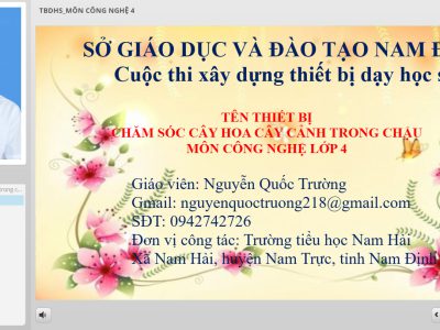 Chăm sóc cây hoa, cây cảnh trong chậu